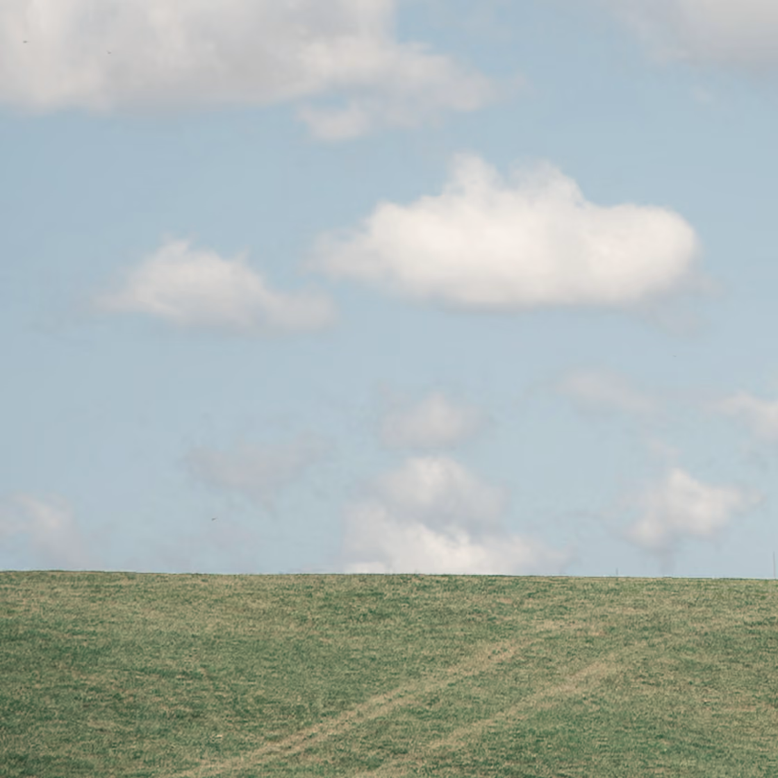 Green grassy field under a partly cloudy blue sky.